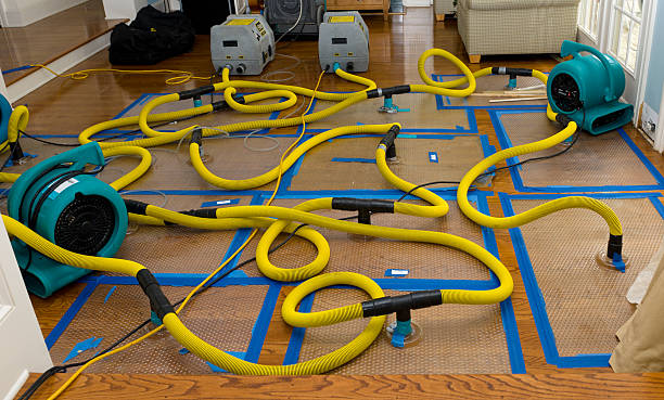 Professional Water Extraction technician working in Buckland, OH